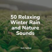 50 Loopable Rain Sounds for Relaxation