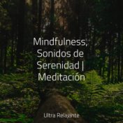 Mindfulness, Sonidos de Serenidad | Meditación