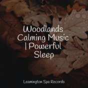 Woodlands Calming Music | Powerful Sleep