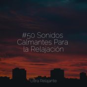 #50 Sonidos Calmantes Para la Relajación