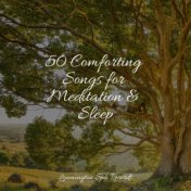 50 Comforting Songs for Meditation & Sleep