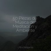 50 Piezas de Música de Meditación y Ambiente