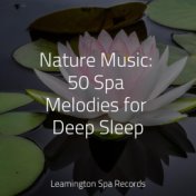 Nature Music: 50 Spa Melodies for Deep Sleep