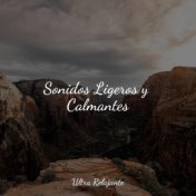 Sonidos Ligeros y Calmantes