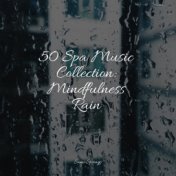 50 Loopable Rain & Nature Sounds