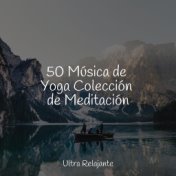 50 Música de Yoga Colección de Meditación