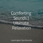 Comforting Sounds | Ultimate Relaxation