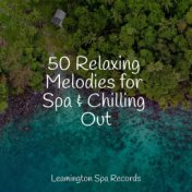 50 Relaxing Melodies for Spa & Chilling Out