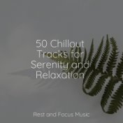 50 Chillout Tracks for Serenity and Relaxation