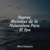 Suaves Melodías de la Naturaleza Para El Spa