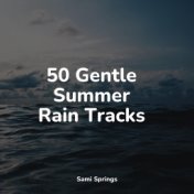 50 Gentle Summer Rain Tracks