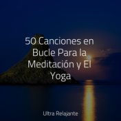 50 Canciones en Bucle Para la Meditación y El Yoga