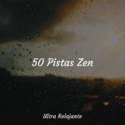 50 Pistas Zen