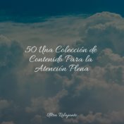 50 Una Colección de Contenido Para la Atención Plena