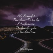 50 Sonidos Pacíficos Para la Meditación Profunda y la Meditación