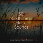 50 Mindfulness Music Sounds