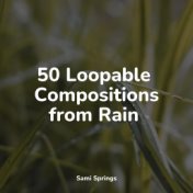 50 Serene Winter Rain Sounds