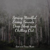 Spring Mindful Living Sounds | Deep Sleep and Chilling Out