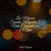 Los Mejores Sonidos Relajantes | Vida Consciente en El Spa