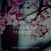 50 Complete Tranquility Sounds for Meditation