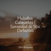 Melodías Calmantes | Serenidad de Spa Definitiva