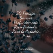 50 Paisajes Sonoros Profundamente Reconfortantes Para la Curación Pura