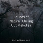 Sounds of Nature | Chilling Out Melodies