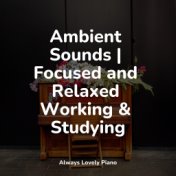 Ambient Sounds | Focused and Relaxed Working & Studying