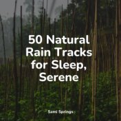 50 Natural Rain Tracks for Sleep, Serene