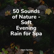 50 Sounds of Nature - Soft Evening Rain for Spa