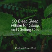 50 Deep Sleep Album for Sleep and Chilling Out