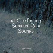 #1 Comforting Summer Rain Sounds