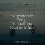 50 Meditación Zen y Tranquilidad Total en El Spa