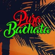 Bachata Pura