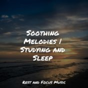 Soothing Melodies | Studying and Sleep