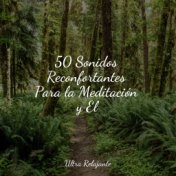 50 Sonidos Reconfortantes Para la Meditación y El