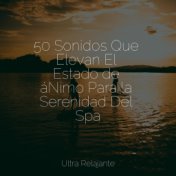 50 Sonidos Que Elevan El Estado de áNimo Para la Serenidad Del Spa