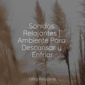 Sonidos Relajantes | Ambiente Para Descansar y Enfriar