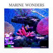 Marine Wonders