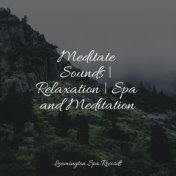 Meditate Sounds | Relaxation | Spa and Meditation