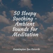 50 Sleepy Soothing - Ambient Sounds for Meditation