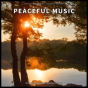 ! ! ! ! Peaceful Music for Napping, Relaxation, Studying, the Office