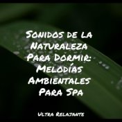 Sonidos de la Naturaleza Para Dormir: Melodías Ambientales Para Spa