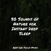 50 Sounds of Nature for Instant Deep Sleep