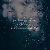 50 Sounds of Rain for Relaxation