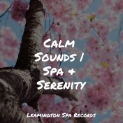 Calm Sounds | Spa & Serenity