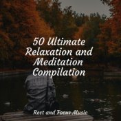 50 Ultimate Relaxation and Meditation Compilation