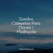 Sonidos Calmantes Para Dormir | Meditación