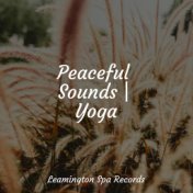 Peaceful Sounds | Yoga