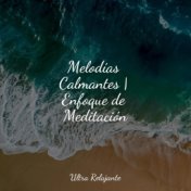 Melodías Calmantes | Enfoque de Meditación
